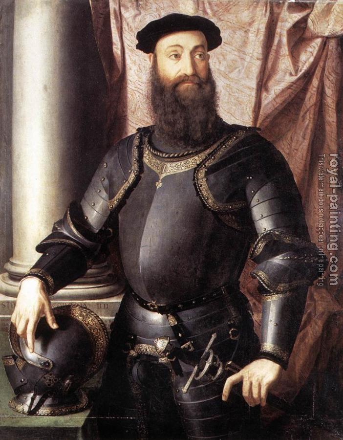 Agnolo Bronzino : Portrait of Stefano IV Colonna